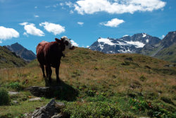 Parc Naturel de la Vanoise