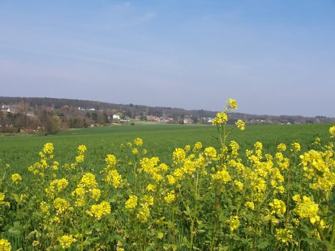 Floreffe6034.jpg
