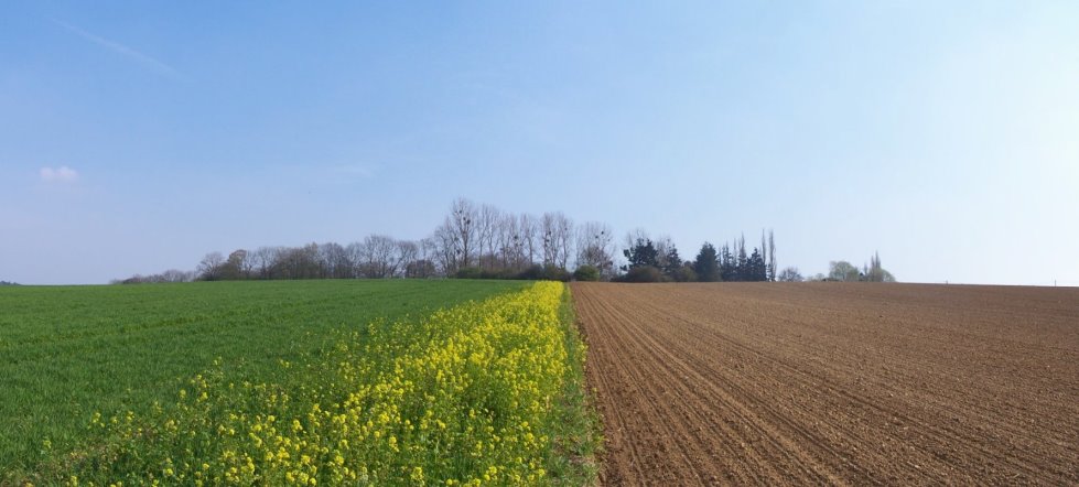 Floreffe6035.jpg