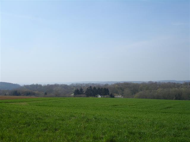 floreffe6033.jpg