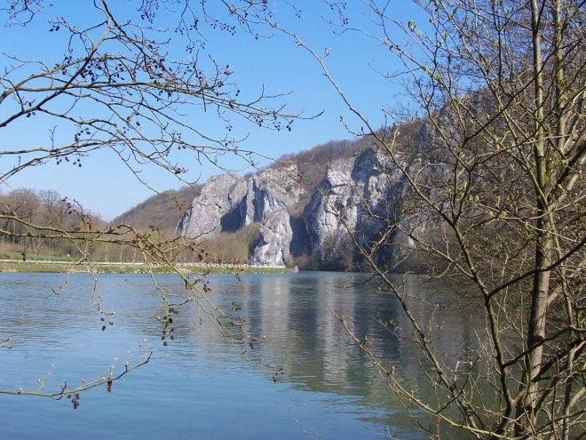 Anseremme6075.jpg