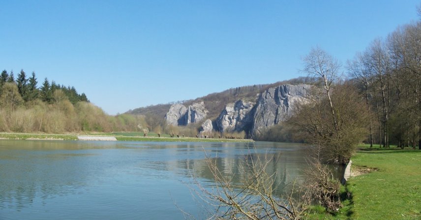Anseremme6081.jpg