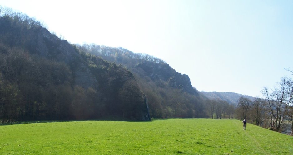 Anseremme6093.jpg