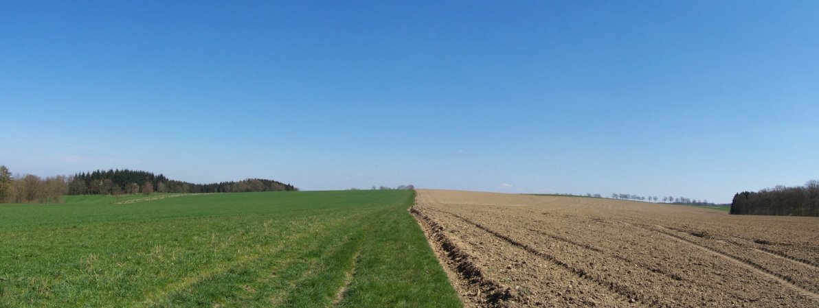 Anseremme6117.jpg