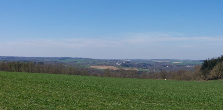 Anseremme6123.jpg