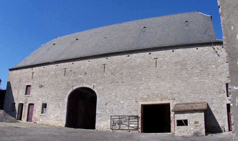 Anseremme6142.jpg