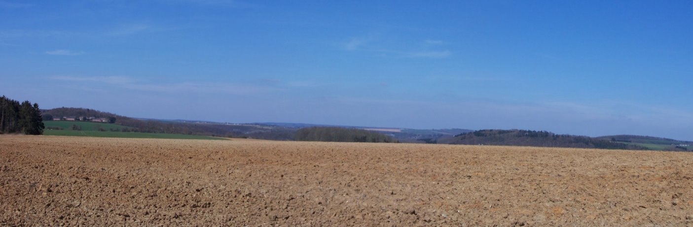 Anseremme6154.jpg