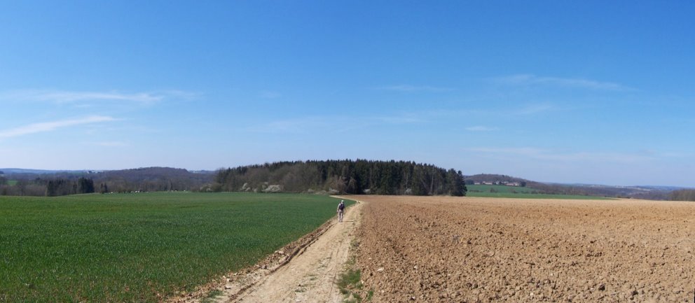 Anseremme6157.jpg