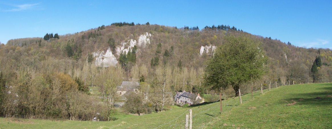 Anseremme6165.jpg