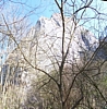 Anseremme6070.jpg