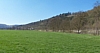 Anseremme6089.jpg