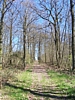 Anseremme6116.jpg