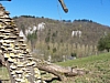 Anseremme6169.jpg