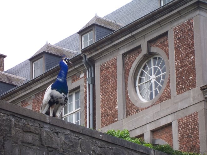 Floreffe6781.jpg