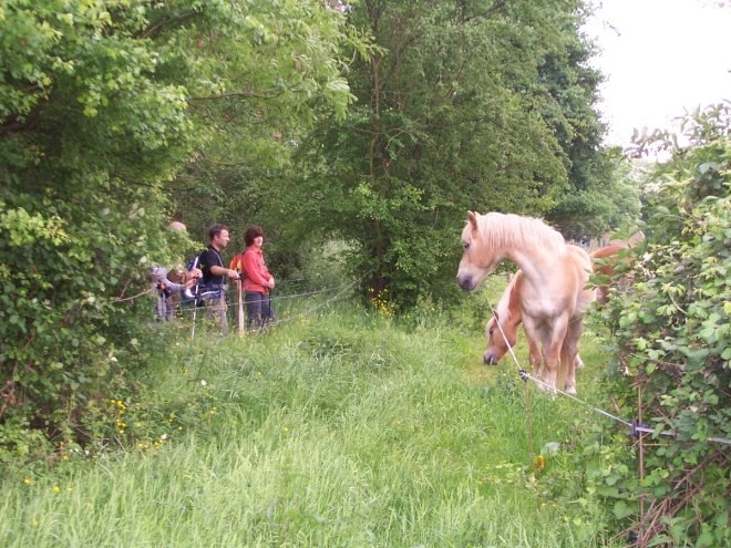 Floreffe6815.jpg