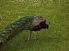 Floreffe6802.jpg