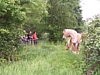 Floreffe6815.jpg