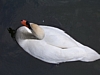 Floreffe6824.jpg