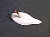 Floreffe6825.jpg