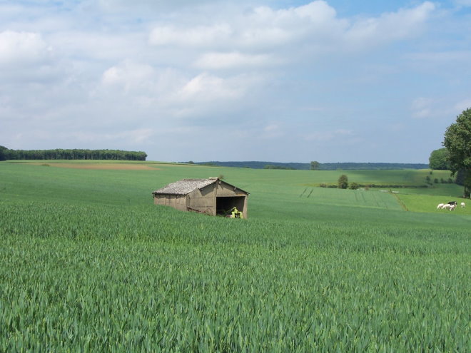 Maredsous6931.jpg