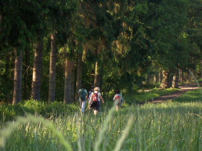 Maredsous6968.jpg
