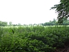 Maredsous6923.jpg
