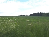 Maredsous6924.jpg
