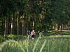 Maredsous6968.jpg
