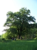 Maredsous6969.jpg