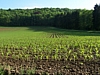 Maredsous6970.jpg