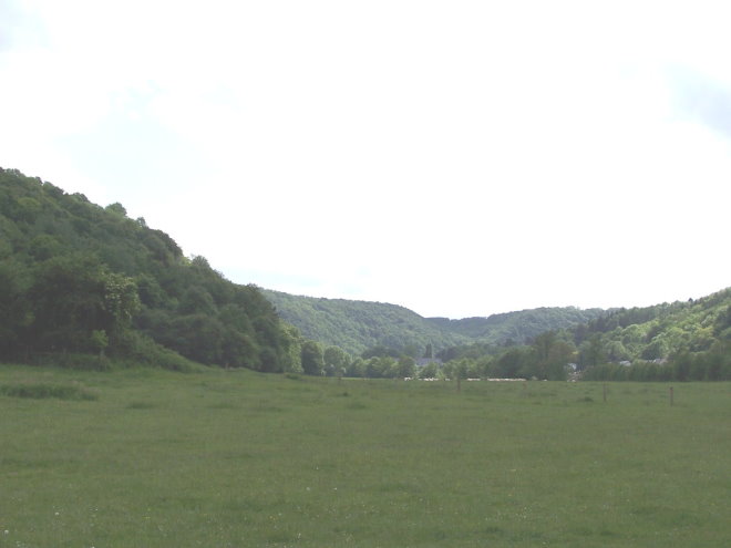 Anseremme7081.jpg