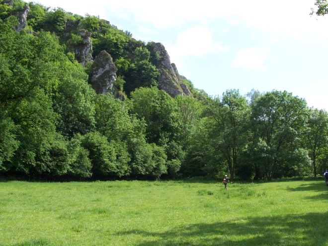 Anseremme7085.jpg
