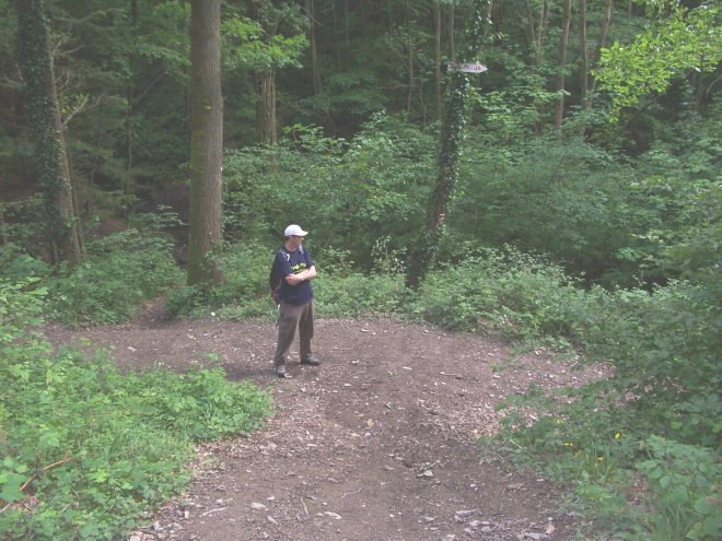 Anseremme7094.jpg