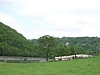 Anseremme7075.jpg