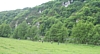 Anseremme7076.jpg