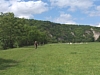 Anseremme7084.jpg