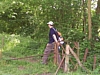 Anseremme7087.jpg