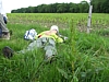 Anseremme7106.jpg