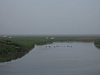 BaieSomme7253.jpg