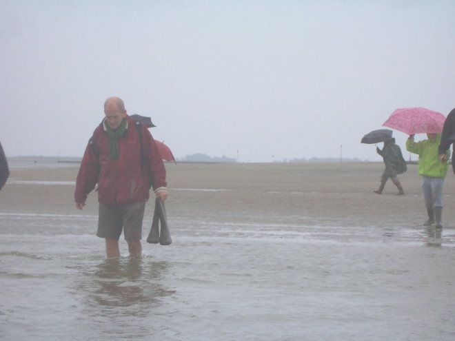BaieSomme7346.jpg