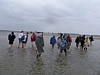 BaieSomme7316.jpg