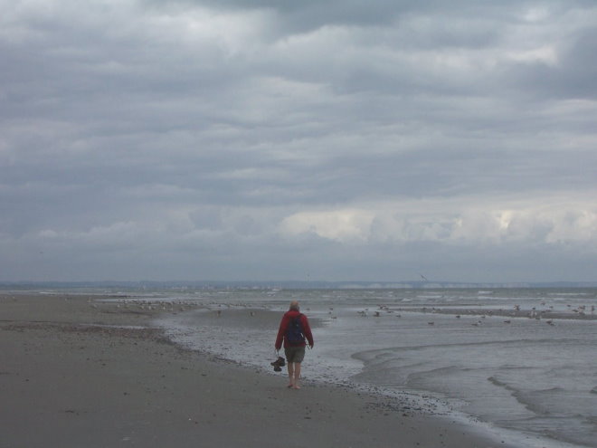 BaieSomme7399.jpg
