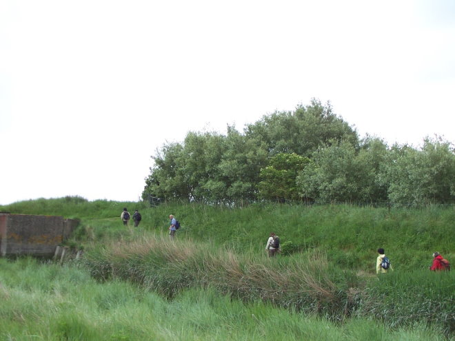 BaieSomme7446.jpg