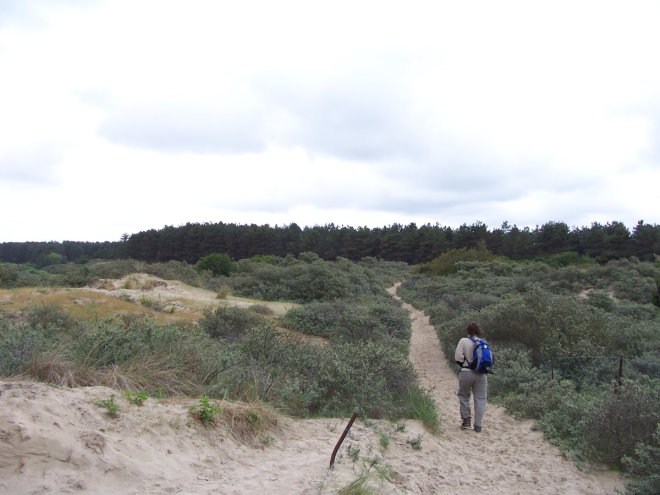 BaieSomme7447.jpg
