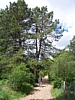 BaieSomme7377.jpg