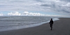 BaieSomme7400.jpg