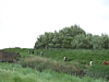 BaieSomme7446.jpg