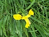 BaieSomme7455.jpg