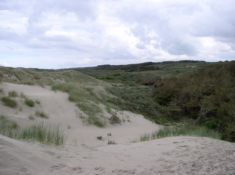 BaieSomme10008.jpg
