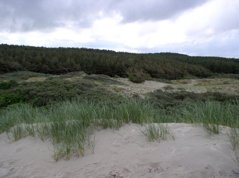 BaieSomme10009.jpg